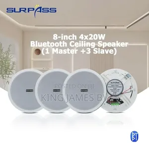 Ceiling Bluetooth Speaker