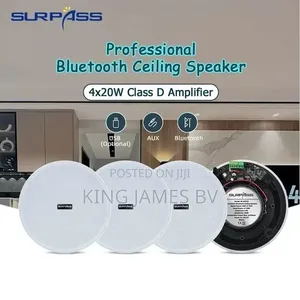 Standard Bluetooth Cieling Speaker