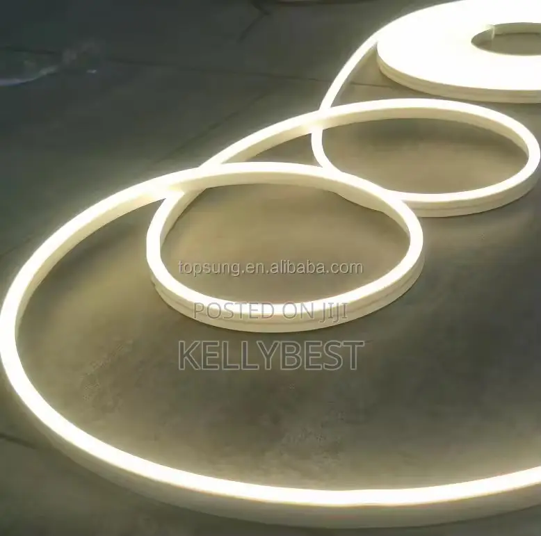 Neon Led Strip Light