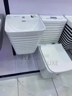 Executive Wc  With Wall Hug Wash Hand Basin