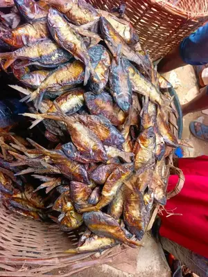 Dried Bonga Fish