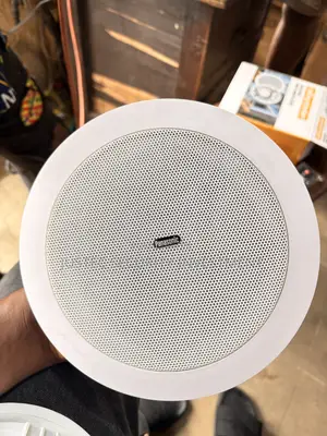 10 Watt Celling Speaker