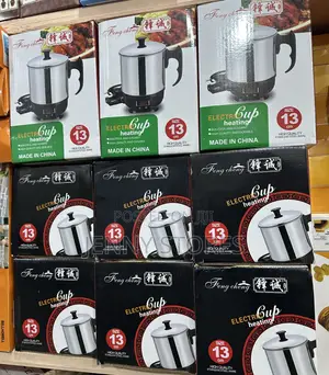 Electric Heating Cup