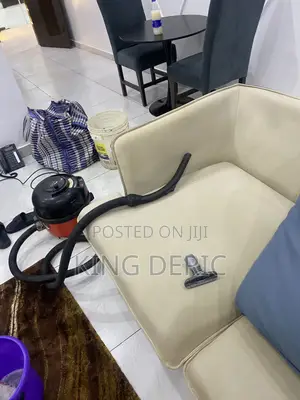 Professional Cleaning Services