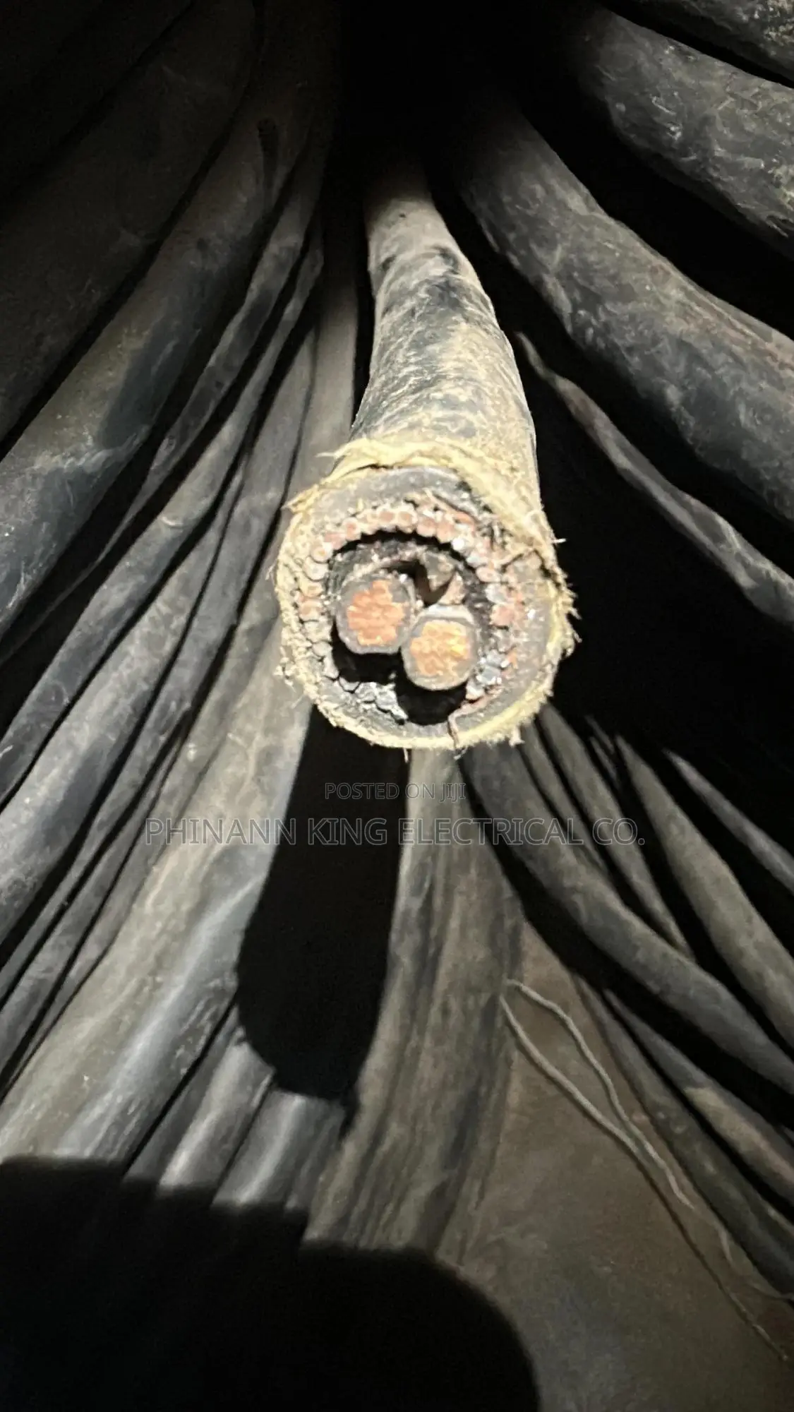 6mm 2core Armored Cable Coleman Full Gauge