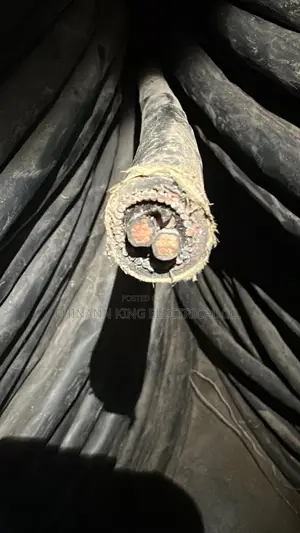 6mm 2core Armored Cable Coleman Full Gauge