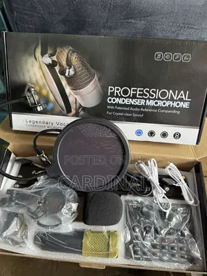 V8 Professional Condenser Mic