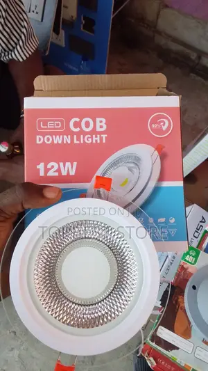Spot Light 12w 3color