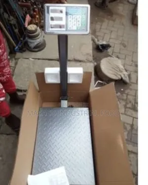Standing Scale