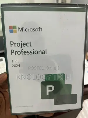 Ms Project Professional 2024