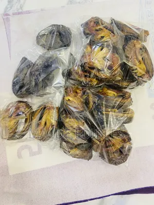 Oven Dried Catfish/Ring Catfish/ Export Standard