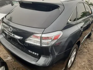 Lexus RX 350 2010 Gray