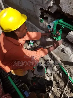Professional Plumbing Services