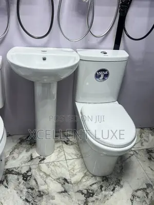 Executive Vstar Wc  With Wash Hand Basin