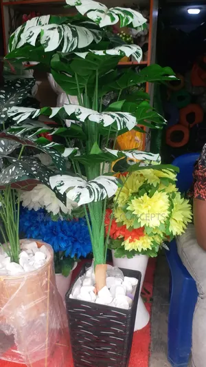 Elfy Artificial Plant