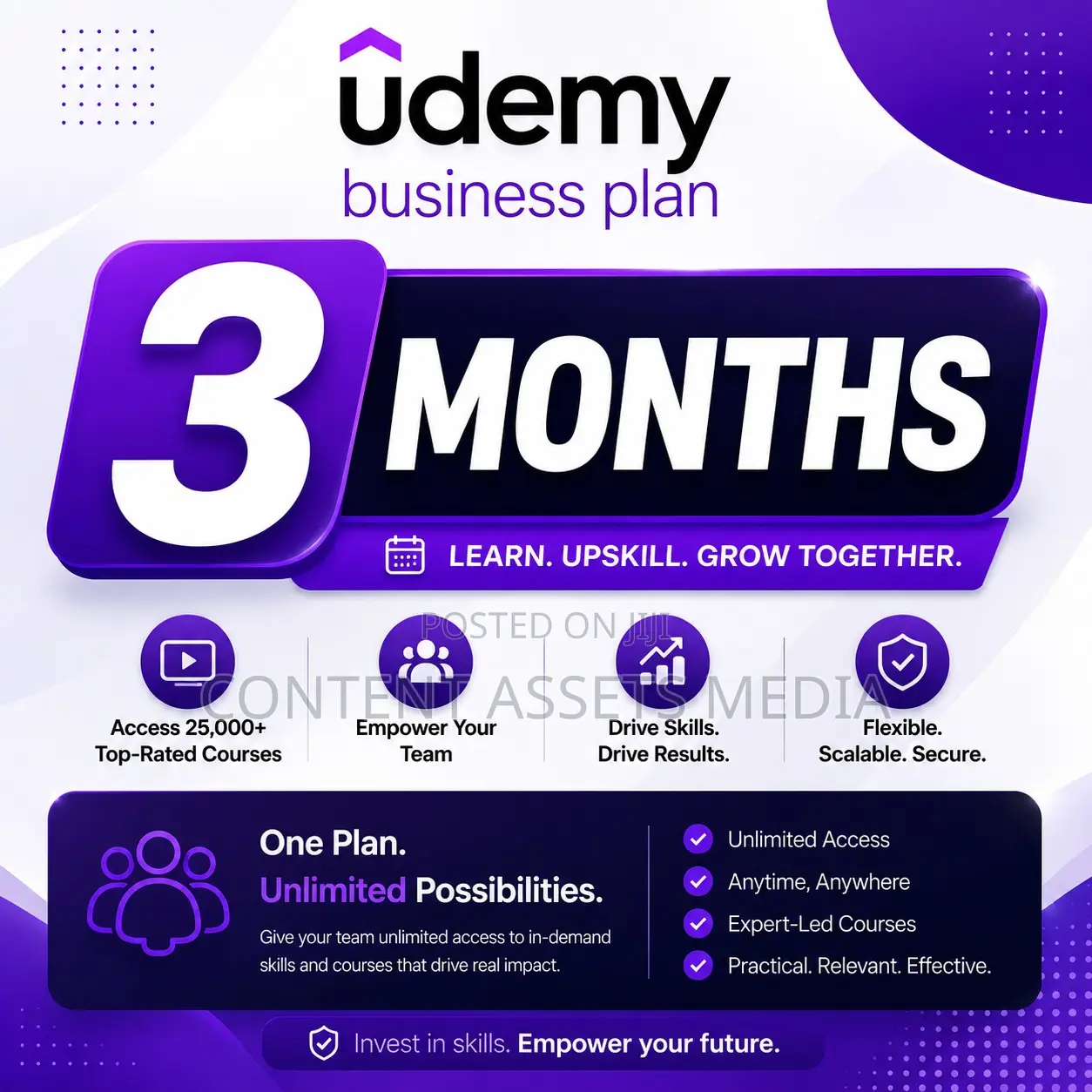 Udemy Business Plan