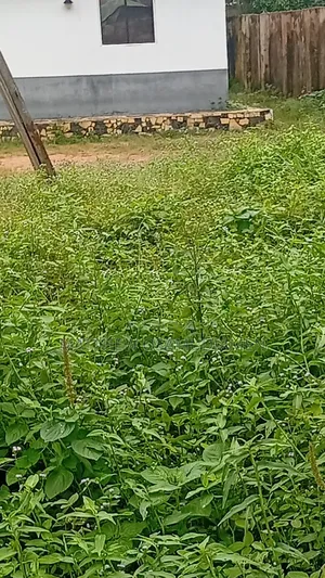 Plot of Land
