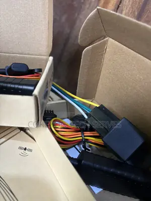 Protect Your Vehicle From Theft Today