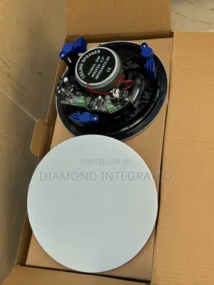 Frameless 2 in 1 Bluetooth Ceiling Speaker