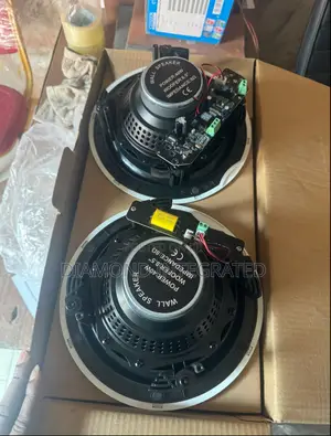 Frameless Russound 2 in 1 Ceiling Speaker