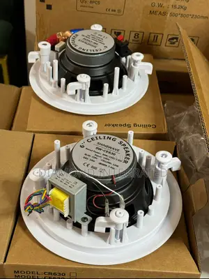 Shinewave 30w Ceiling Speaker