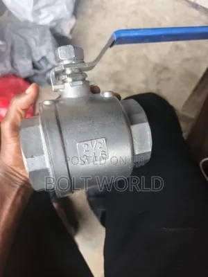 Stainless Steel Ball Valve 21/2"
