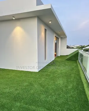 Grass Carpet