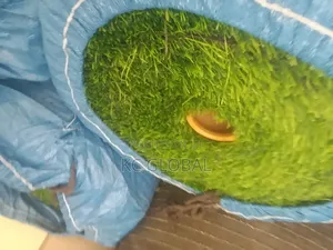 Spanish Synthetic Turf 40mm Roll So Fluffy for Outdoor and Indoor