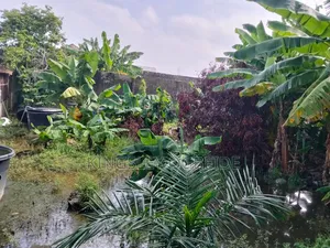 Half Plot of Land for Sale at United Estate Sangotedo