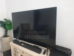 Television and Shelves