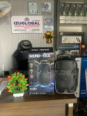 Sound-Teck 8inches Public Address System With 2 Wire Microphones