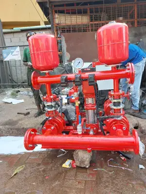 Fire Pump Just 10hp Set