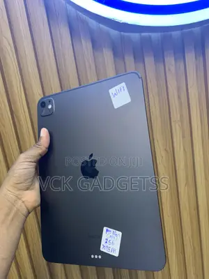 Apple iPad Pro 256 GB Gray