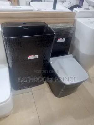 Quality Shining Black Water Closet With Standing Basin