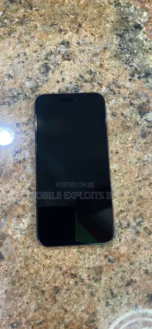 Apple iPhone 15 Pro Max 256 GB Gray