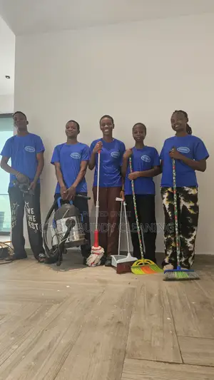 Professional Home Cleaning Services in Lagos
