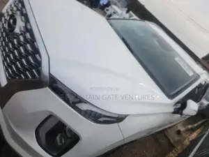 Hyundai Palisade 2020 White