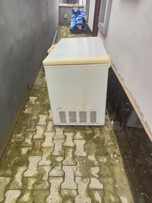 Haire Thermocool 379 Litres Chest Deep Freezer