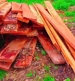 Mahogany Plywood Planks