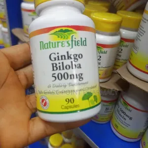 Gingko Biloba 500mg by 90 Caps