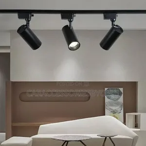 3 Light Mode Track Light