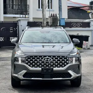 Hyundai Santa Fe 2024 Gray