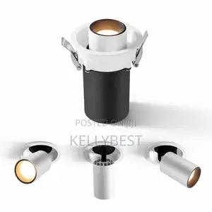 Adjustable Spot Light