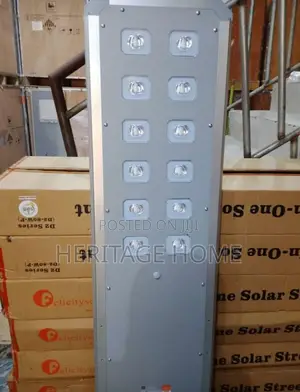 Streetlight D2 80w