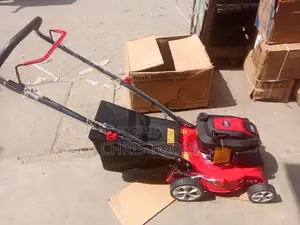 Garden Petrol Lawnmower 5.5hp Engine