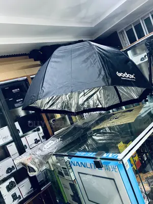 Godox 120cm Octa Umbrella Softbox With Grid