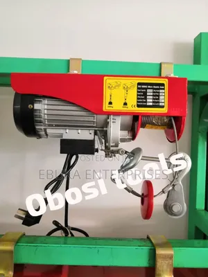 300/600kg Micro Electric Hoist