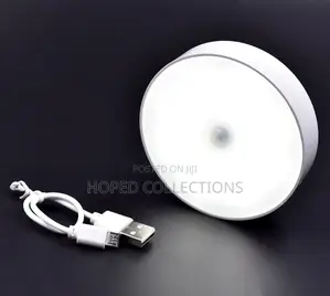 Body Induction Light