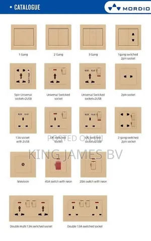 Golden Switches and Sockets