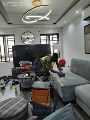 Professional Cleaning Services
